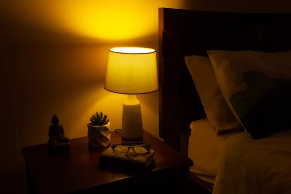 Bon Charge: Blue Light Blocking Lighting (HSA/FSA Eligible) - Image 4