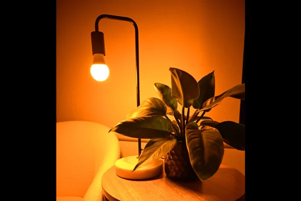 Bon Charge: Blue Light Blocking Lighting (HSA/FSA Eligible) - Image 2