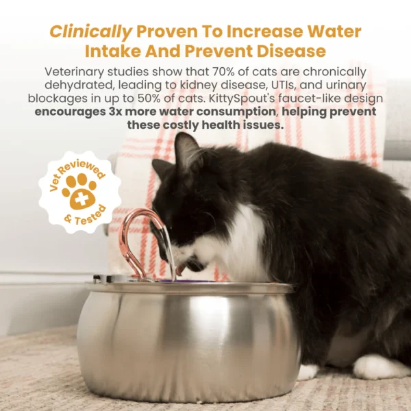 roots-n-fruits-non-toxic-kitty-spout