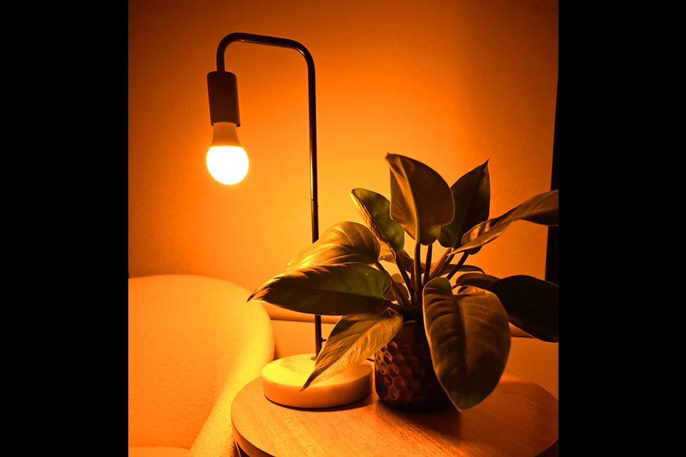 college-dorm-checklist-full-spectrum-light-bulb