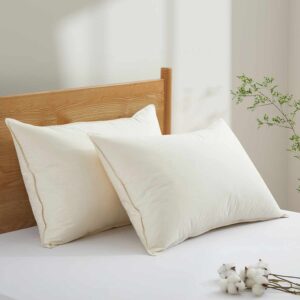 roots-n-fruits-organic-pillows