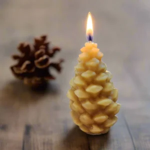 roots-n-fruits-pinecone-candle