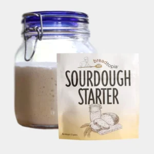 roots-n-fruits-sourdough-starter