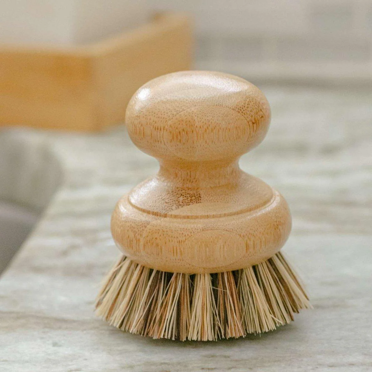 All Purpose Hand Brush with Agave Plant Bristles